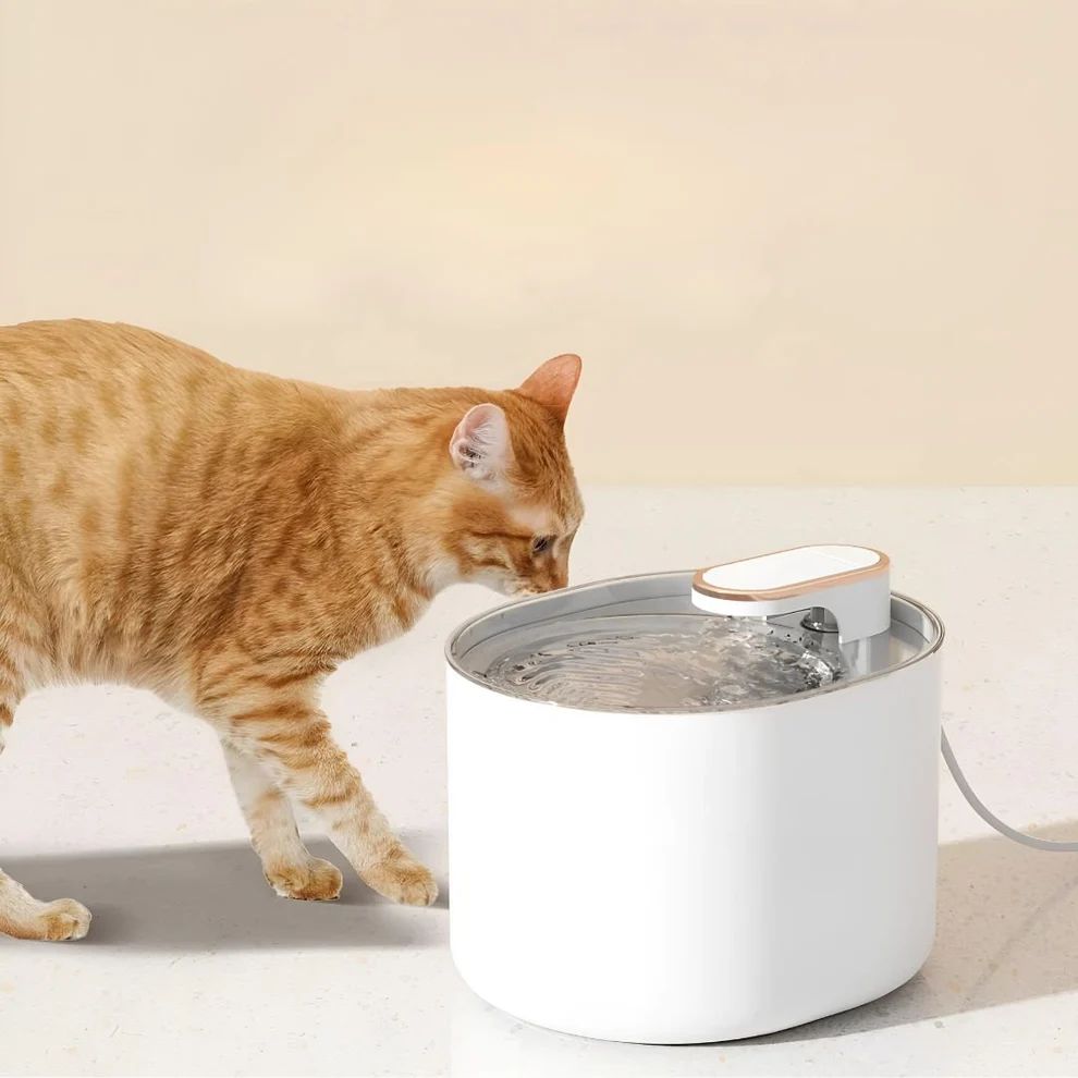 FUENTE DE AGUA PARA GATOS 3L